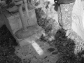 πηγαδι-γειτονιαIMG_4605