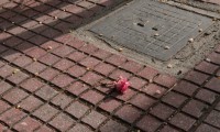 2.δρομοςIMG_8225